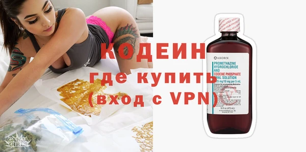 мяу мяу мука Дмитриев