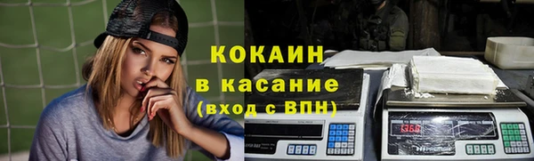 apvp Кемь
