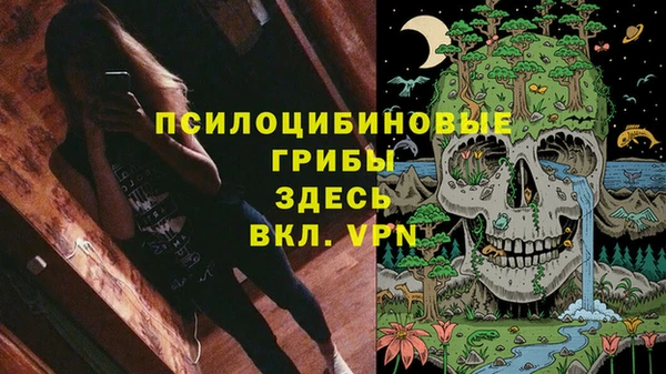 синтетический гашиш Алексин