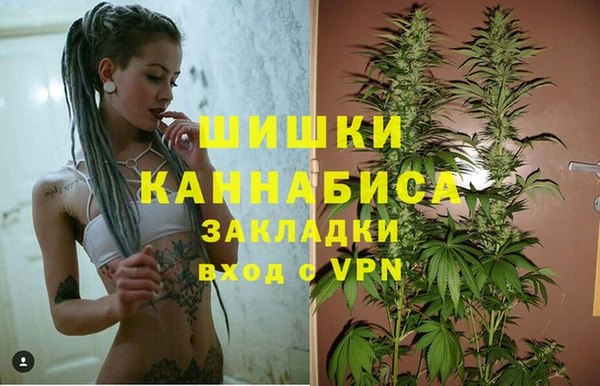 бошки Алексеевка