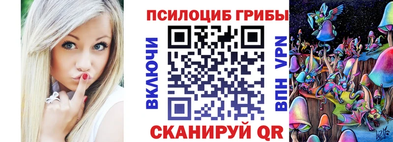 наркота Цивильск Галлюциногенные грибы MAGIC MUSHROOMS